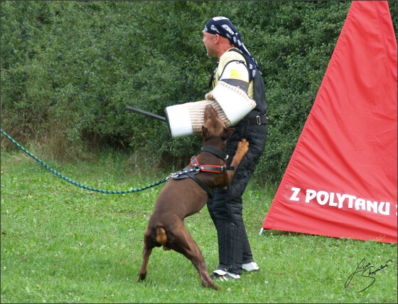 Summer training camp - Jelenec - 2007